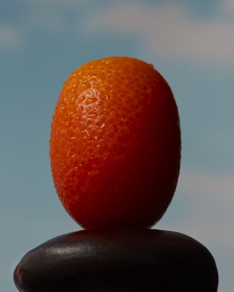 Partition - Kumquat.jpg