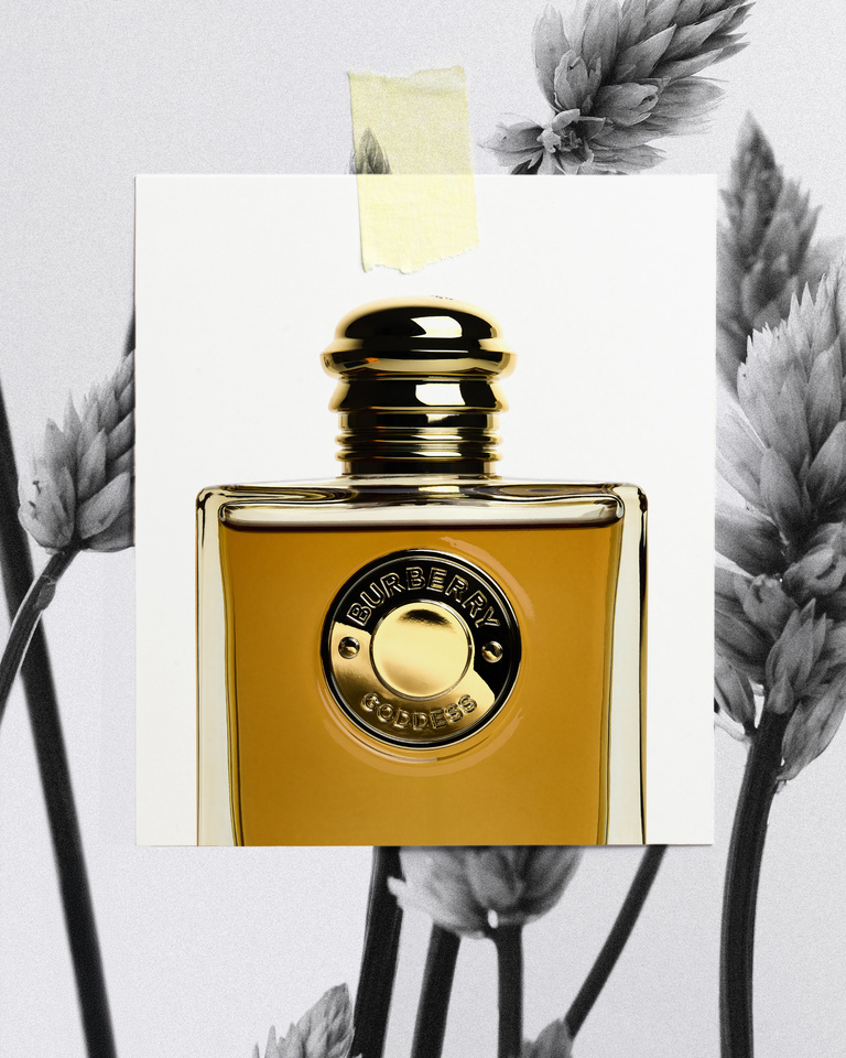 Partition - Wonderland_Burberry_Chaton.jpg