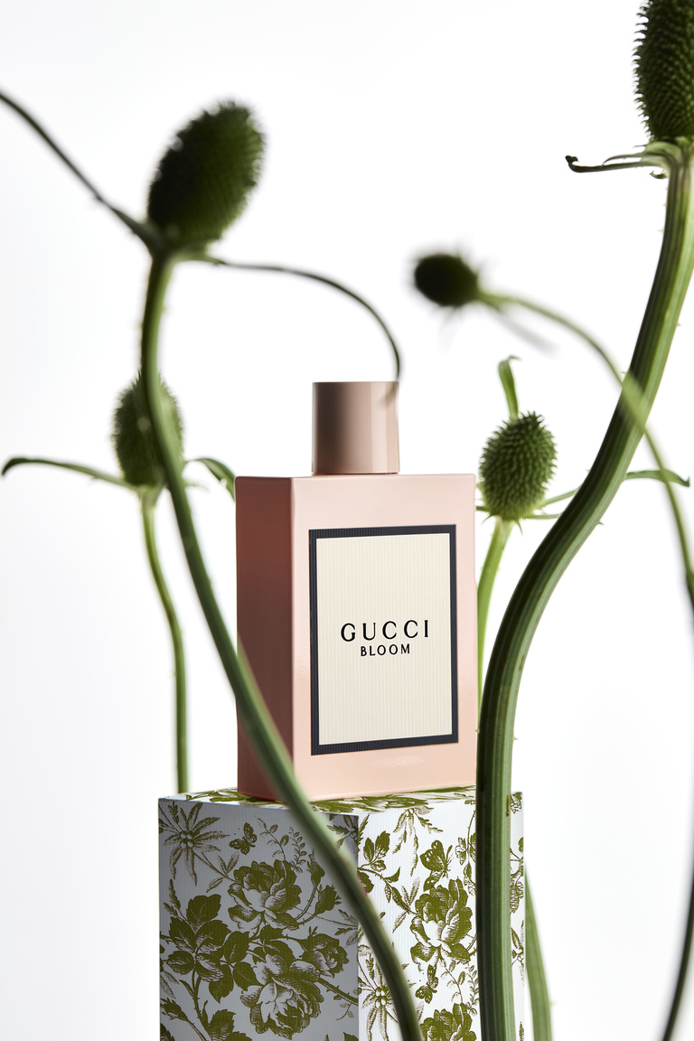 Partition - Wonderland_Gucci_Vert.jpg