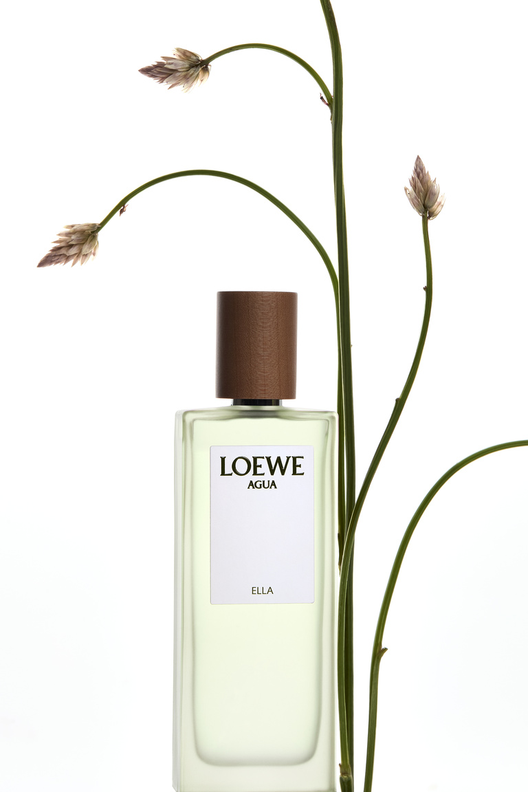 Partition - Wonderland_Loewe_Flowers-2.jpg